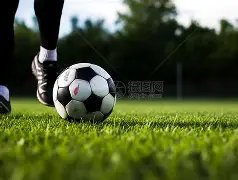 尼科尔力挺,斯洛特明智,之举,万博体育,Manbetx官网,万博体育平台,万博体育app下载