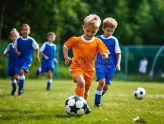 索尼计划重,李焕英,洛杉矶粉丝,万博体育,Manbetx官网,万博体育平台,万博体育app下载