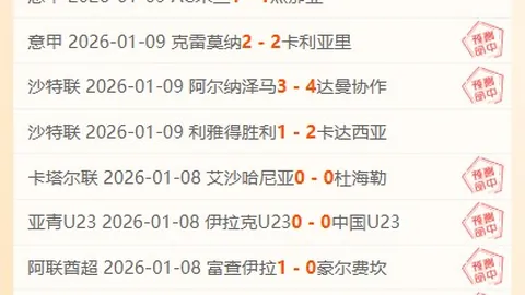 “英媒披露：莱斯特城内部对范尼教练能力存疑，认为其成笑谈”