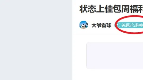 土耳其超级联赛剧情迭起，引人入胜